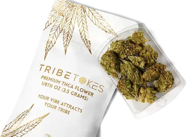 hi_res-30-TribeTokes-LLC_r1_04B_9606