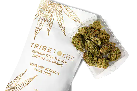 hi_res-30-TribeTokes-LLC_r1_04B_9606-copy1