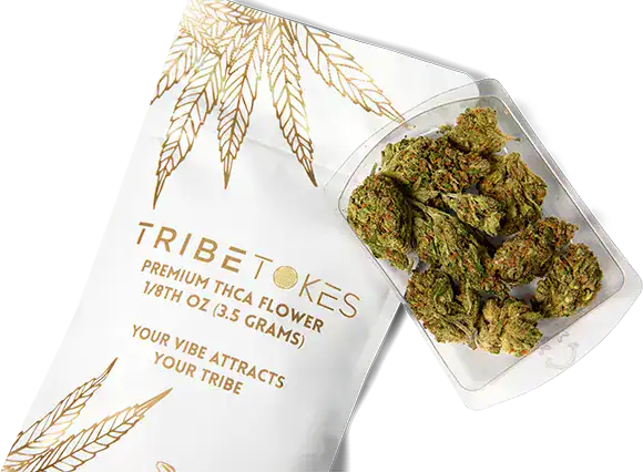 hi_res-30-TribeTokes-LLC_r1_04B_9606-copy(2)1