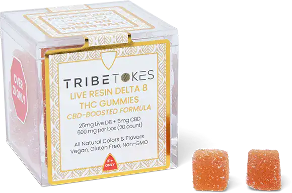 hi_res-3e-TribeTokes-LLC_r1_04E_9942-copy1