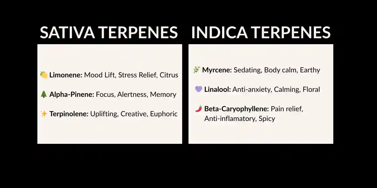 sativa-indica-gummies-terpene-profiles
