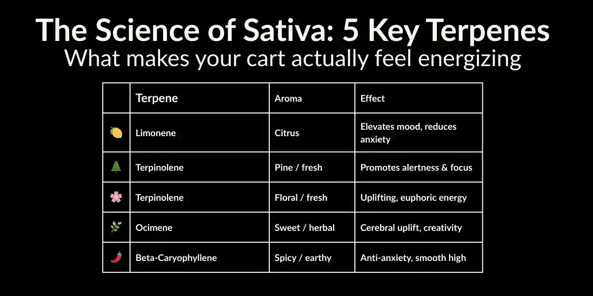 sativa-terpenes-infographic