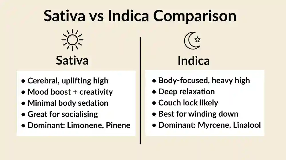 sativa-vs-indica-comparison-card