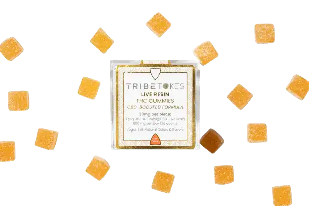 web-18-TribeTokes_LLC_r1_04Z_0089-removebg-preview