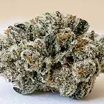 Close-up of THCa hemp flower buds showing dense trichome coverage, representing TribeTokes premium indoor THCa