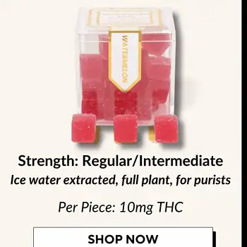 THC Live Rosin Gummies | Solventless Extraction