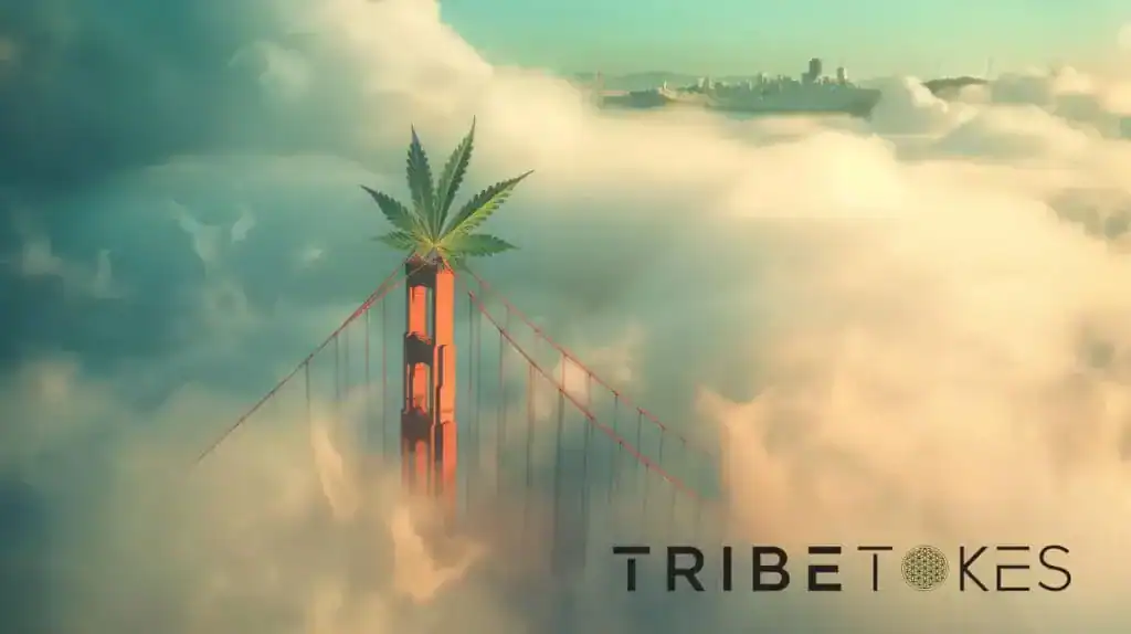 TribeTokes-California-1024x574