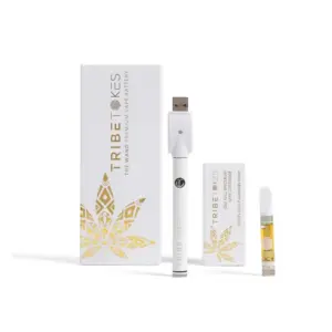 snap on vape flavors Elf Bar Snap 14,000 (14K) 5% Disposable Pod  Punk Juice Vape Store