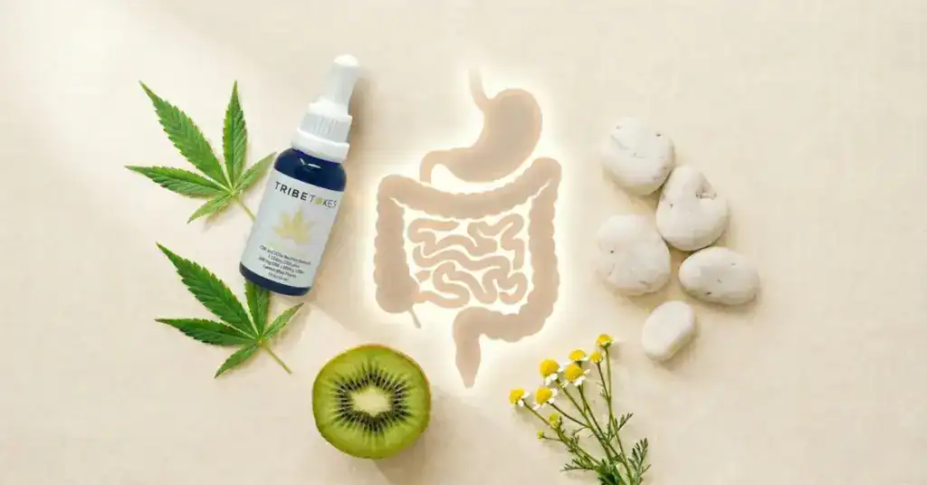 Cannabis and gut health — CBG tincture with botanical ingredients representing endocannabinoid system support for digestive wellness, IBS, and gut inflammation