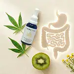 Cannabis and gut health — CBG tincture with botanical ingredients representing endocannabinoid system support for digestive wellness, IBS, and gut inflammation