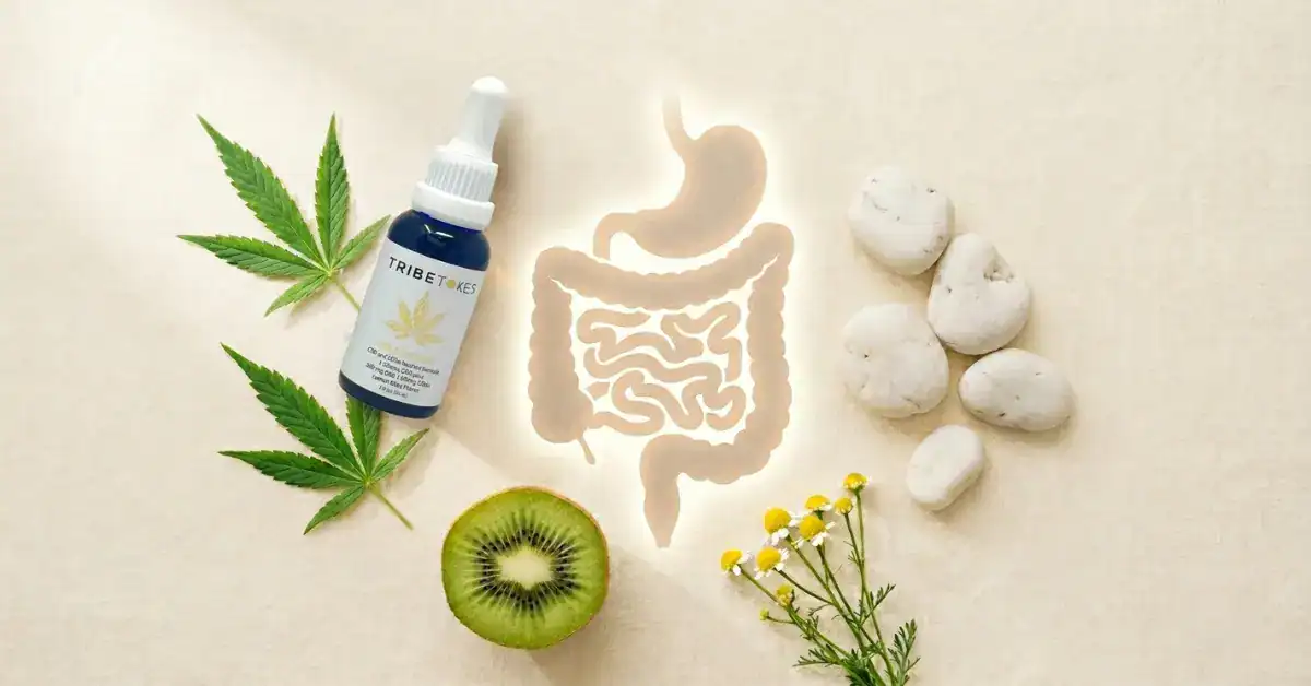 Cannabis and gut health — CBG tincture with botanical ingredients representing endocannabinoid system support for digestive wellness, IBS, and gut inflammation