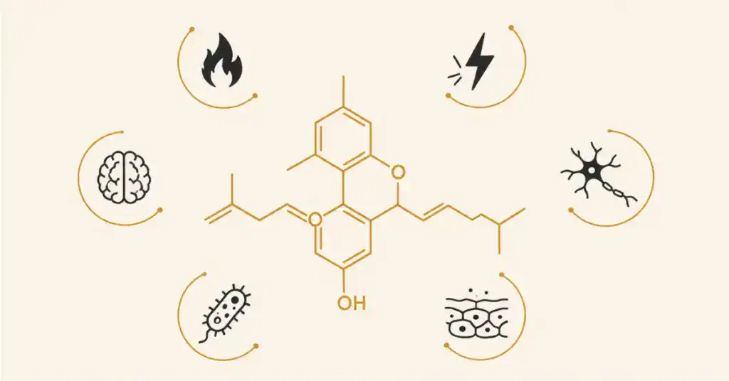 CBC cannabichromene molecular structure in amber surrounded by icons representing preclinical research benefits including anti-inflammatory analgesic neurogenesis antibacterial and acne effects