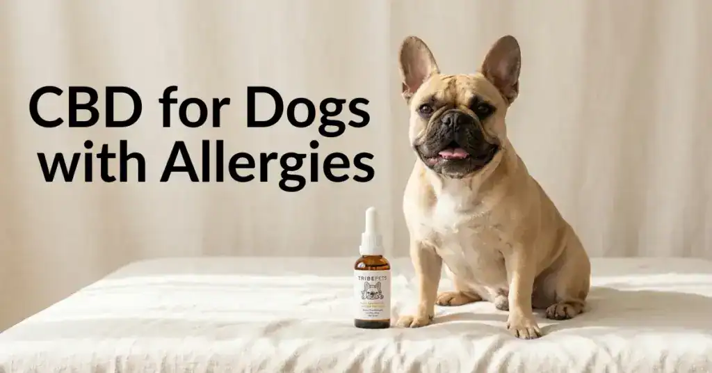 CBD oil tincture for dogs with itchy skin and allergies — TribeTokes Pet CBD with wild salmon oil
