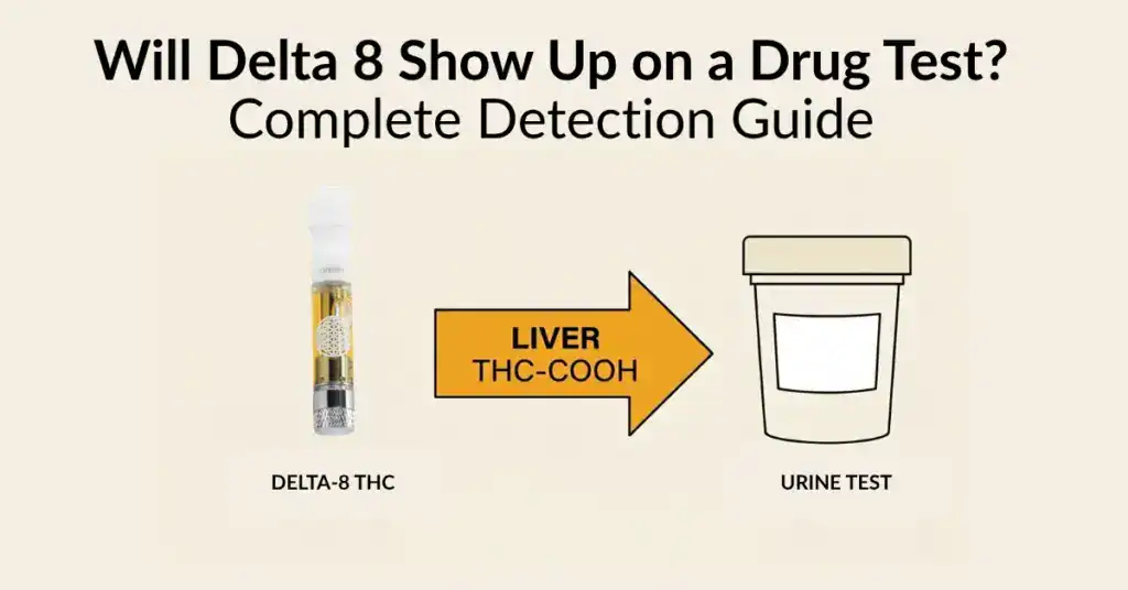 Delta-8 THC drug test illustration showing a urine test cup and a Delta-8 product with metabolism pathway arrows between them representing how Delta-8 produces detectable THC metabolites