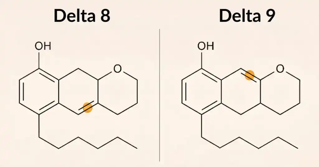 Side-by-side molecular line drawings of Delta 8 and Delta 9 THC with gold markers showing the single double bond position difference in the cyclohexene ring that separates the two cannabinoids structurally