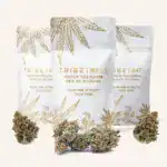 Save $20: THCa Flower You Pick 3 | Eighths (3.5g) | 22–28% THCa