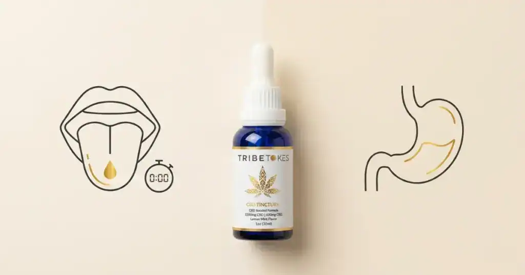 TribeTokes tincture dropper bottle on cream background with icons showing sublingual absorption under the tongue versus digestive swallowing method comparison