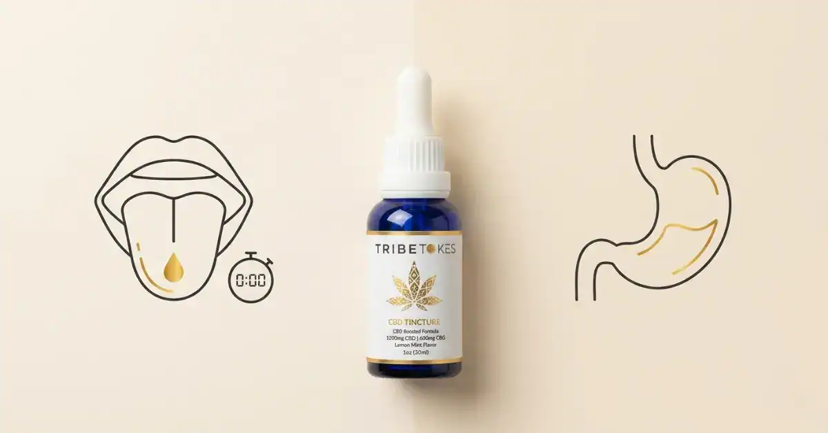 Sublingual vs Swallowing Tinctures: Onset, Absorption & When to Use Each