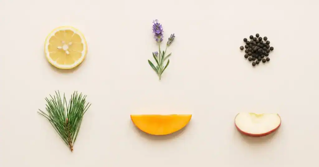 Botanicals representing key cannabis terpenes including citrus, pepper, lavender and pine