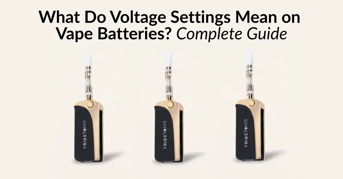 vape voltage Thailand's Strict Vaping Ban: The Policy and Its Consequences main image 0