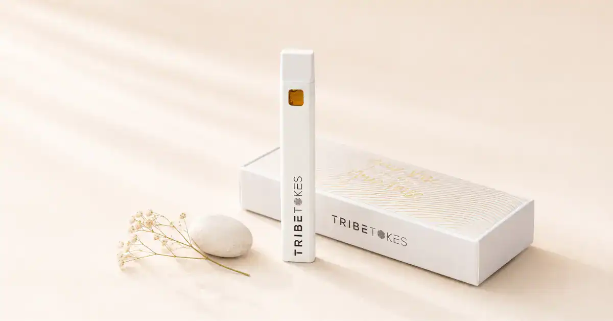 best disposable weed vape for beginners what is the best disposable vape Archives main image 1