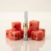 Watermelon (Indica) | THCa Live Resin Vape Cartridge (1g)