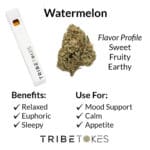 Watermelon – Indica | THCa Live Resin Disposable Vape Pens