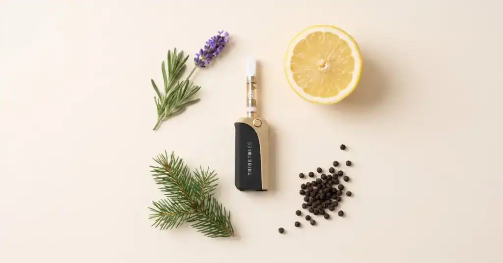 Terpene source botanicals — lavender, lemon, black pepper, and pine — arranged with a TribeTokes live resin saber vape cartridge on a cream background, illustrating how terpenes in cannabis affect effects and experience