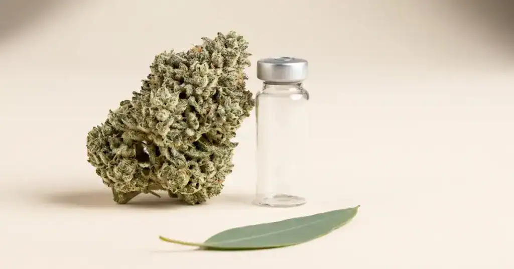 Trichome-covered cannabis flower buds beside a sealed clear laboratory vial on a cream background, representing how cannabis compounds are detected in metabolite drug tests