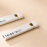Two TribeTokes white disposable vape pens with amber oil windows alongside a USB-C charging cable on a cream background representing disposable vape lifespan puff count and rechargeability guide
