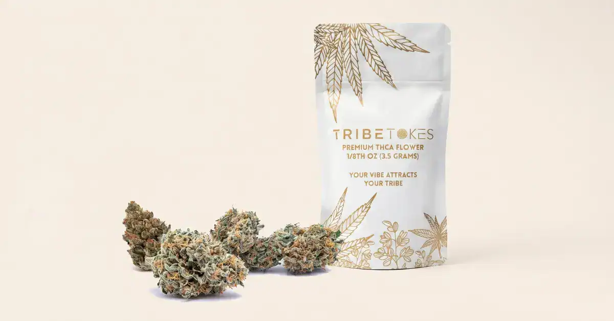 TribeTokes Premium THCa Flower 3.5g bag with three trichome-frosted indoor cannabis buds arranged on a cream background, showing the quality indicators to look for when buying THCa flower