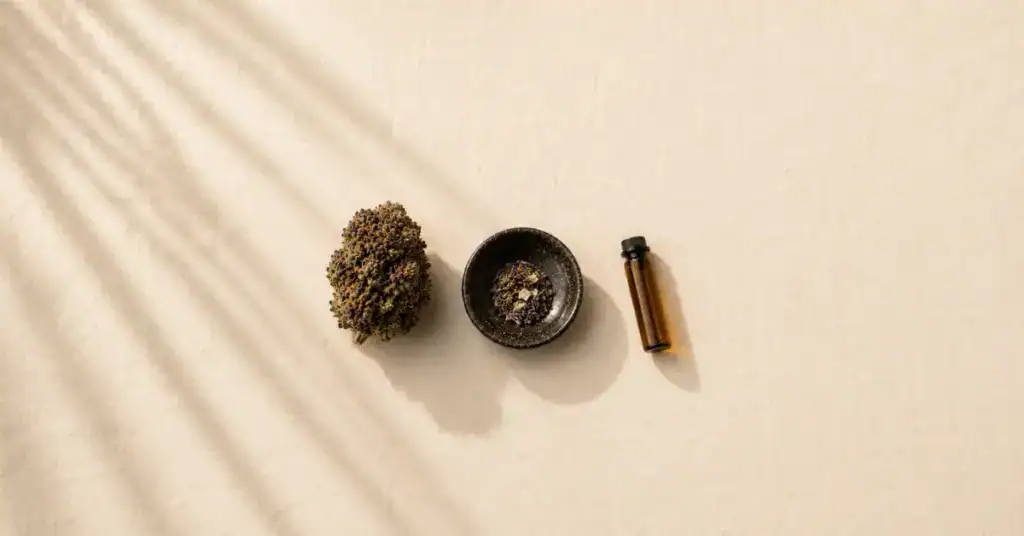 Single cannabis bud on cream background with minimal botanical styling — editorial flat lay representing the precision and restraint of microdosing THC, TribeTokes low-dose science guide