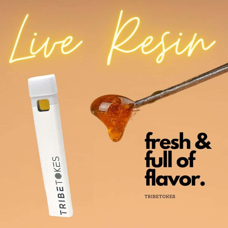 Live Resin THCa Disposables