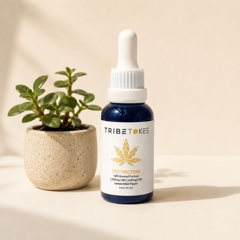 TribeTokes CBD tincture bottle standing beside a small potted succulent on a cream background with soft natural light and a clean wellness aesthetic.