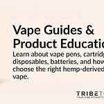 TribeTokes vape guide featuring a TribeTokes vape battery, disposable vape pen, and two vape cartridges
