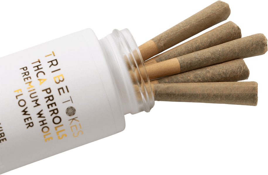 TribeTokes THCa pre-rolls in a sealed glass jar beside one whole-flower joint