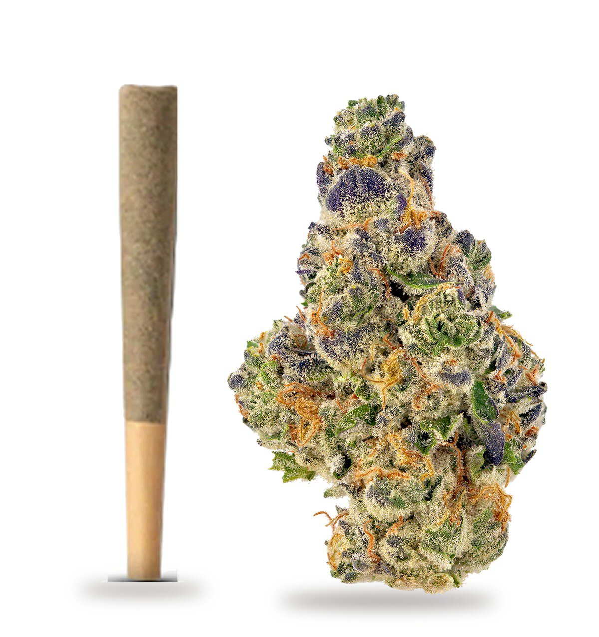 Animal Mints strain: whole-flower pre-roll and cured flower nug