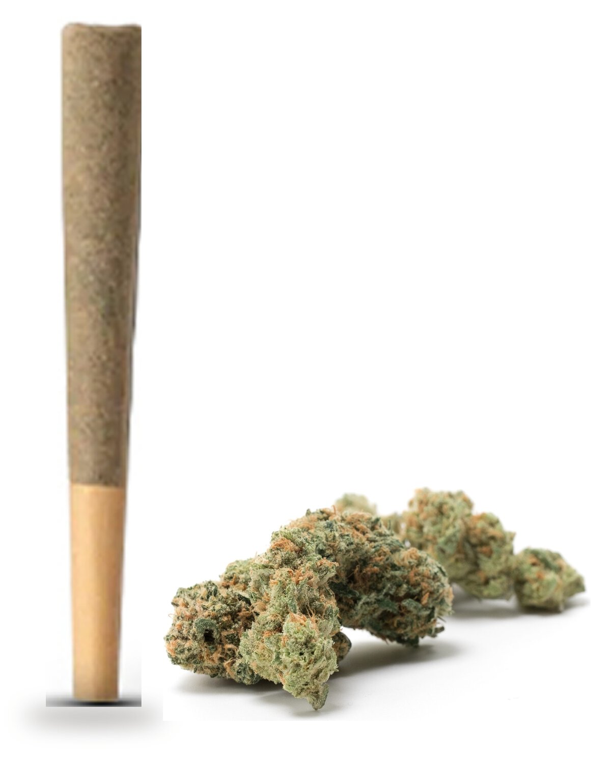 Birthday Cake strain: pre-roll and cured flower nug