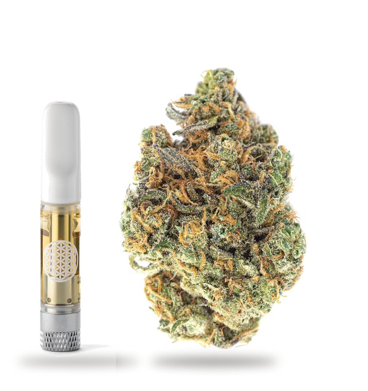 Biscotti CBD live resin cart beside a cured Biscotti nug