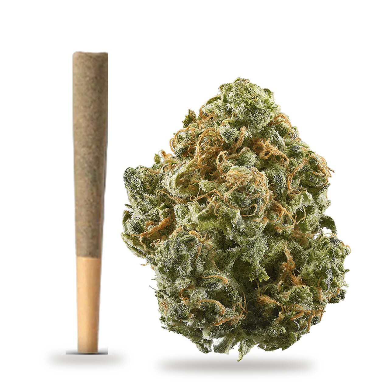 Blue Dream strain: vape cartridge and cured flower nug