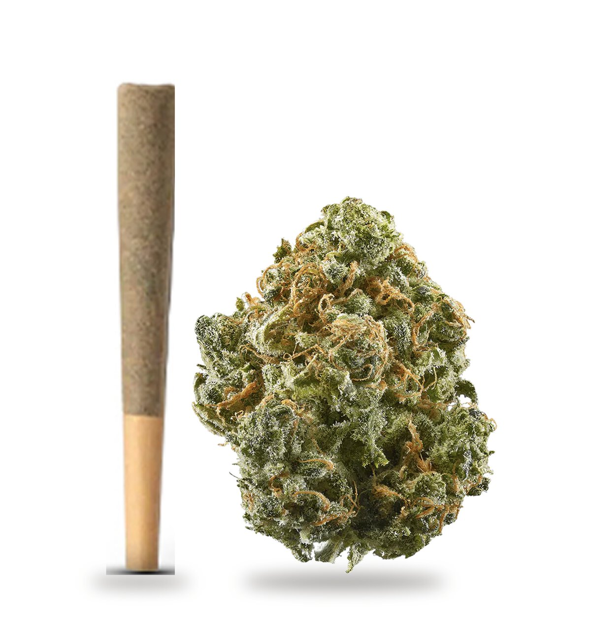 Blue Dream strain: THCa pre-roll and cured flower nug