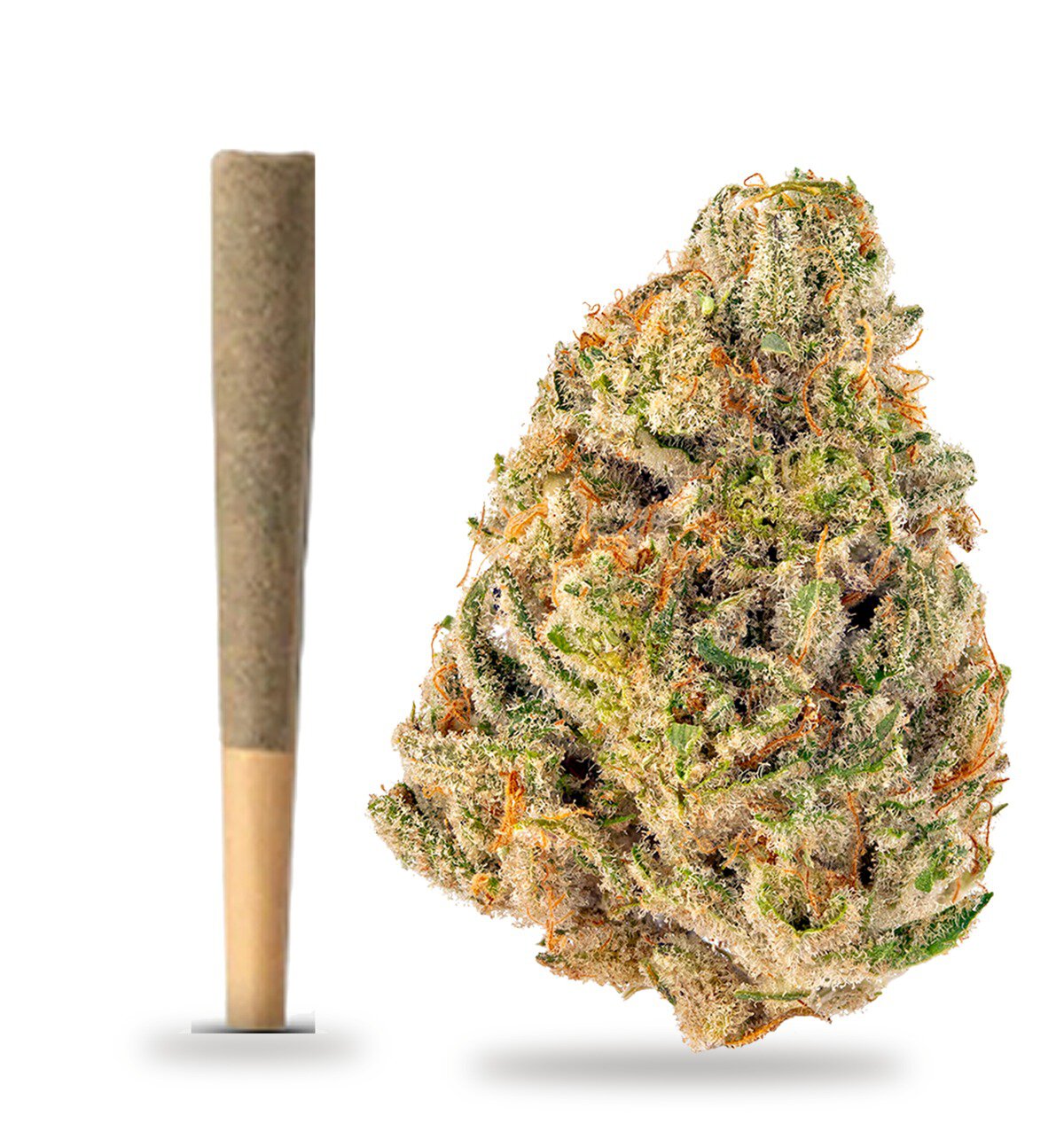 Cheetah Piss strain: vape cartridge and cured flower nug