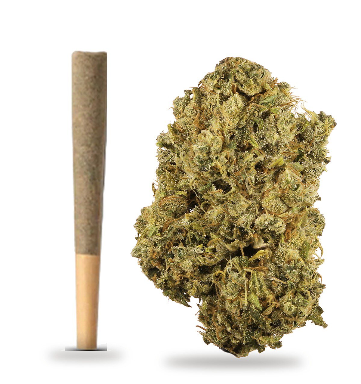 Durban Poison strain: whole-flower pre-roll and cured flower nug