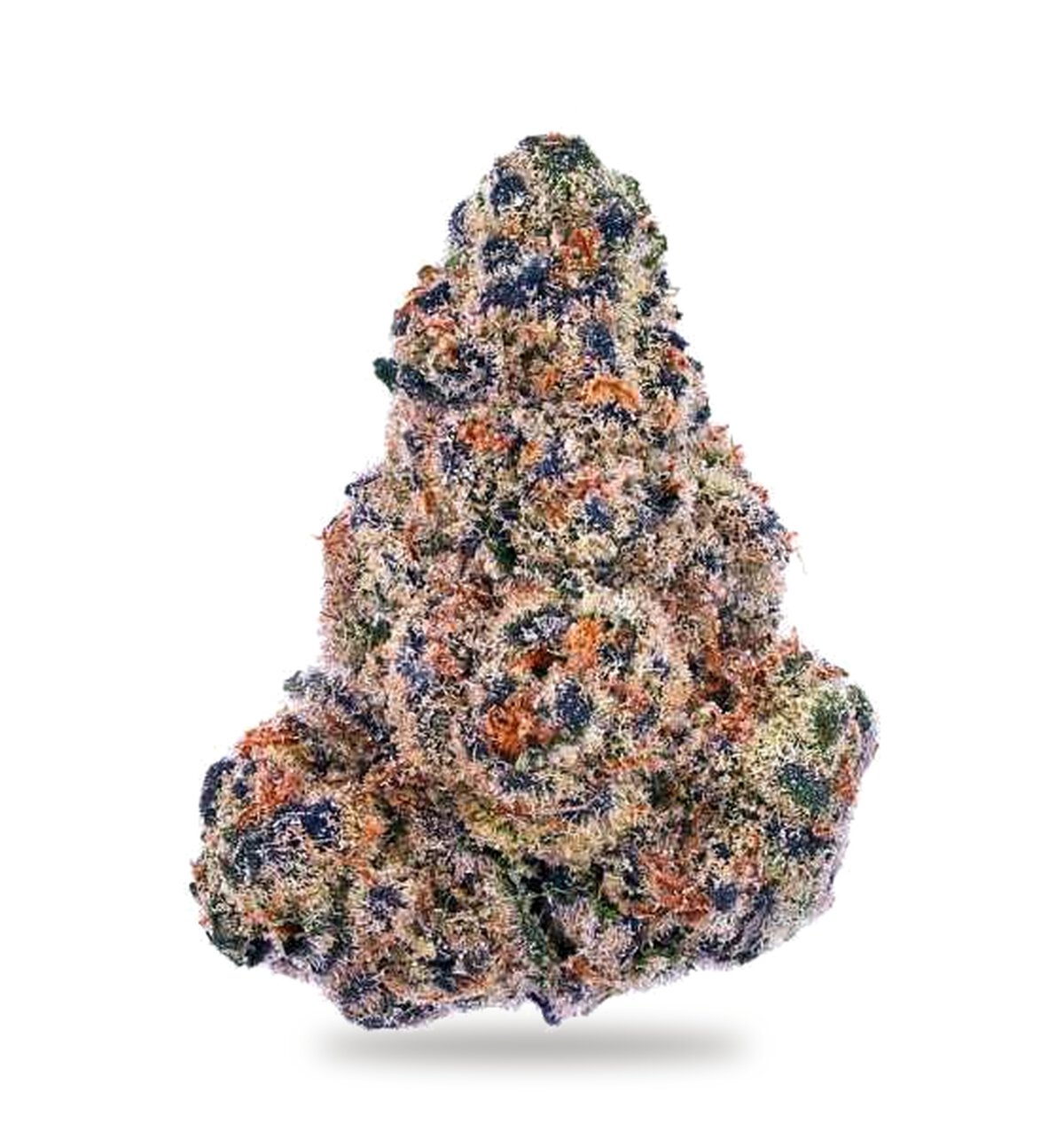 Gushers THCa flower, the cultivar rolled into these prerolls
