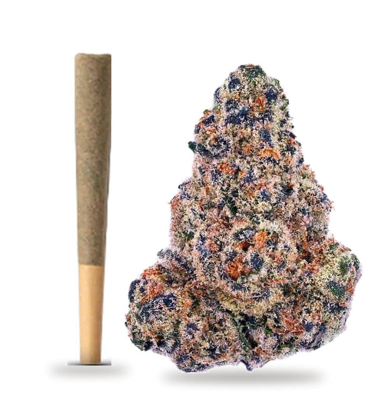 Gushers strain: whole-flower pre-roll and cured flower nug