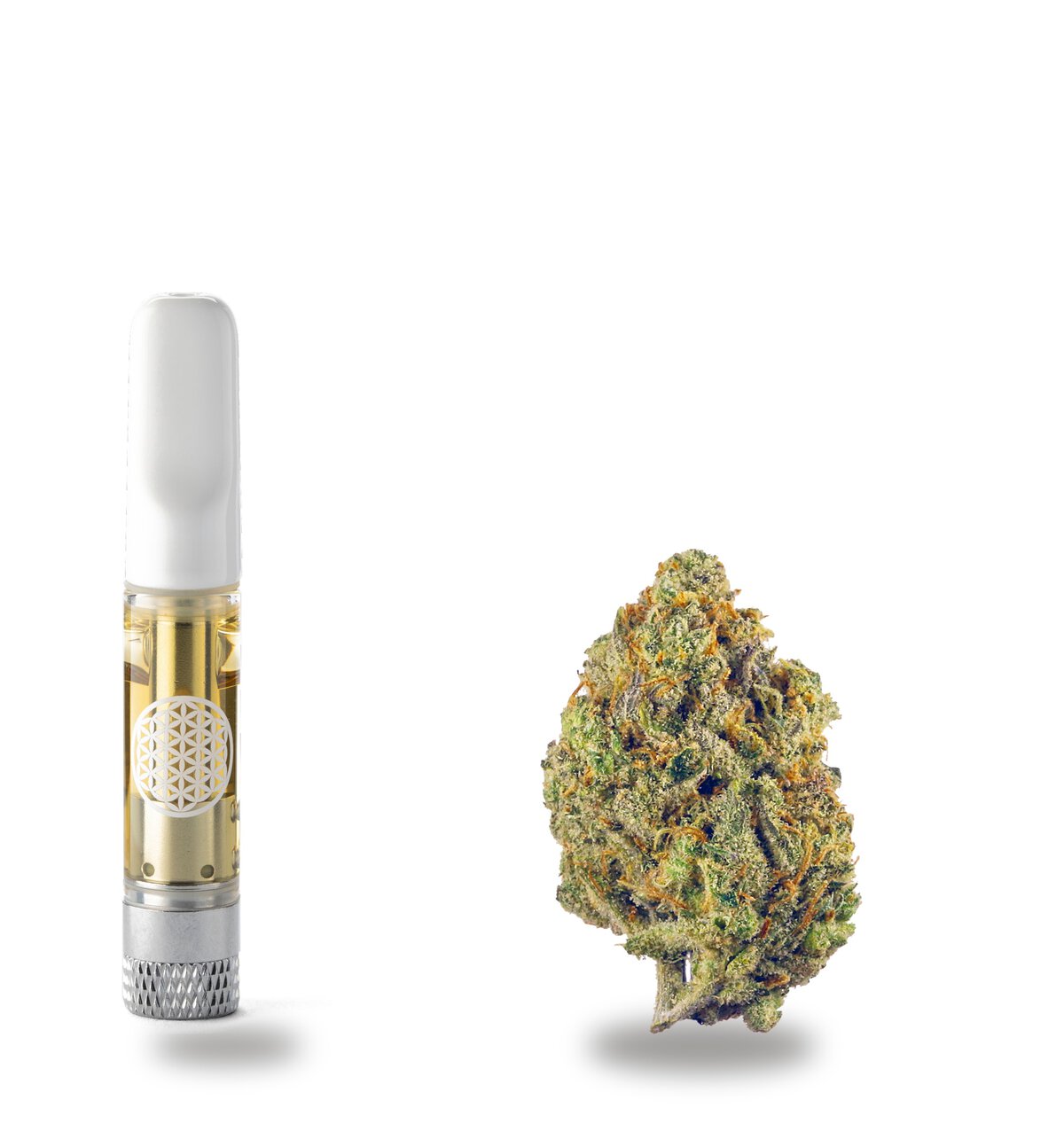 Lemon Haze strain: cured flower nug beside a TribeTokes CBD vape cart