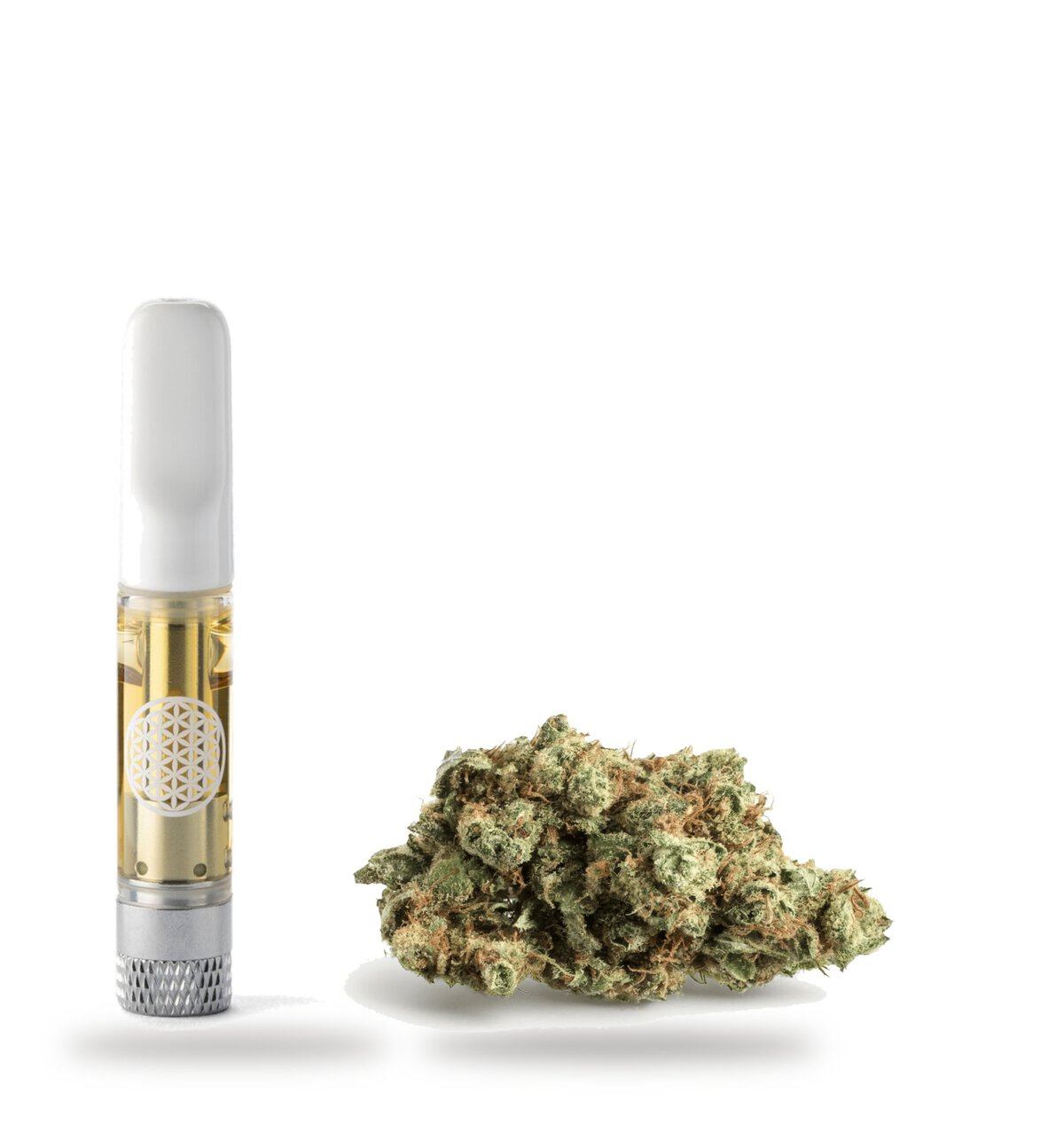 Maui Wowie strain flower nug beside a TribeTokes Maui Wowie vape cart on a white background