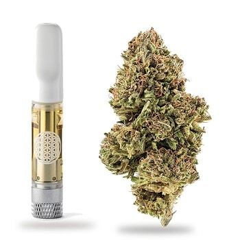 Sour Diesel THCa live resin vape cart, fuel and citrus, sativa