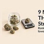 Dense THCa flower buds with frosty trichomes beside a glass jar and small digital scale