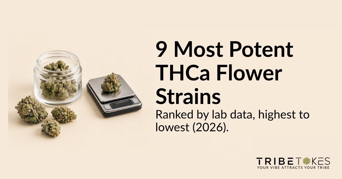 Dense THCa flower buds with frosty trichomes beside a glass jar and small digital scale